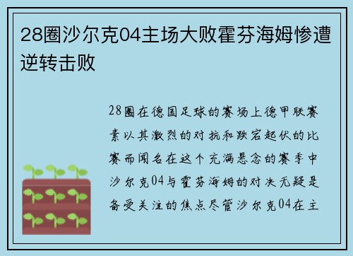 28圈沙尔克04主场大败霍芬海姆惨遭逆转击败
