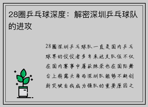 28圈乒乓球深度：解密深圳乒乓球队的进攻